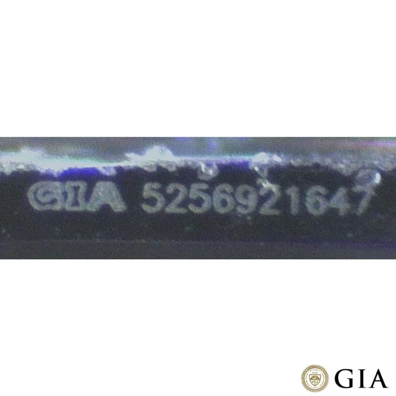 RW224[6].jpg