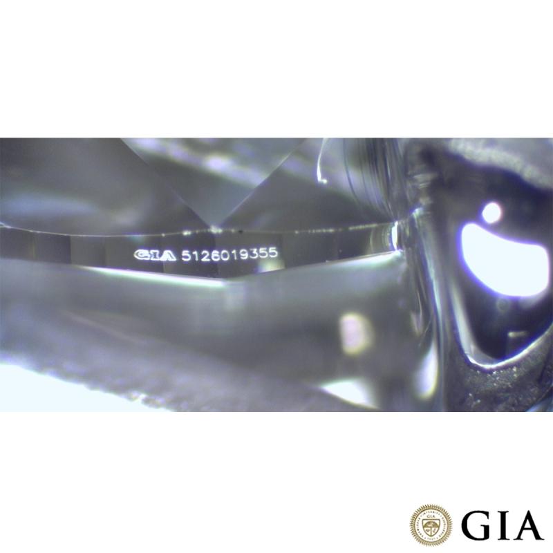 F0991[5].jpg