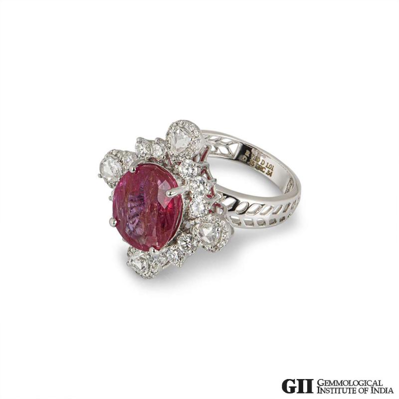 AP0224[3].jpg