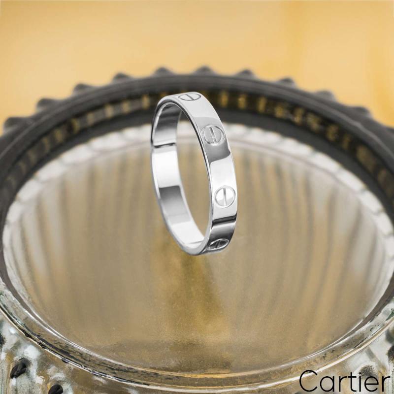 F1099A[7].jpg