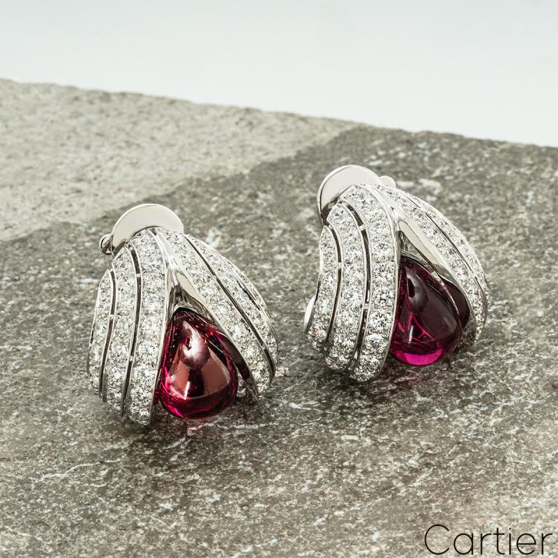 AP0359[10].jpg