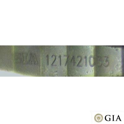 RW176[3].jpg