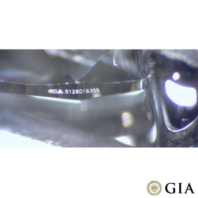 F0991[5].jpg