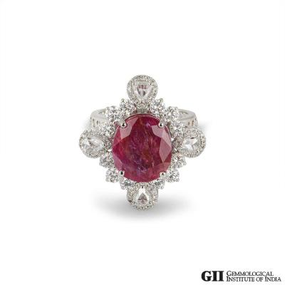AP0224[2].jpg