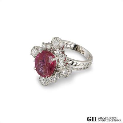 AP0224[3].jpg