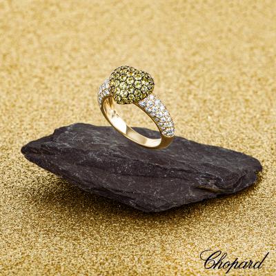 AP0317B[4].jpg