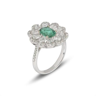 AP0229[1].jpg