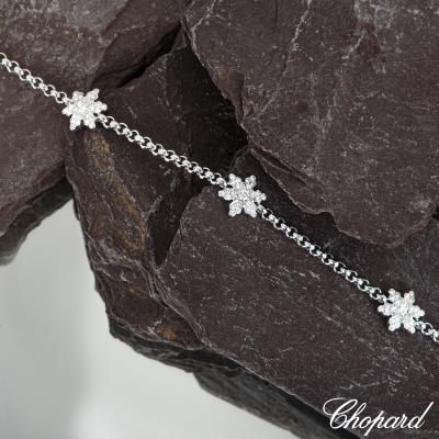 AP0321B[5].jpg