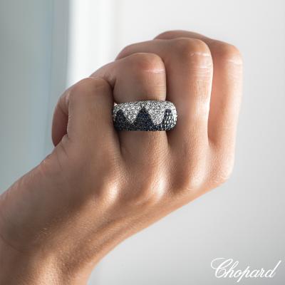 AP0315A[4].jpg