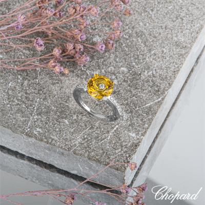 AP0313A[5].jpg