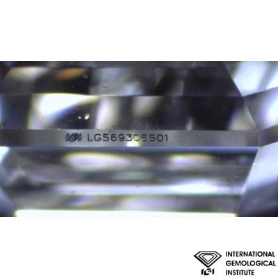 RW385[4].jpg