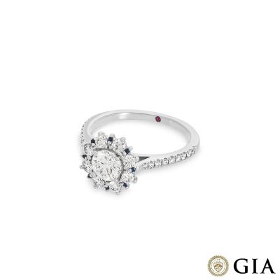 AP0335B[3].jpg