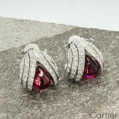 AP0359[10].jpg