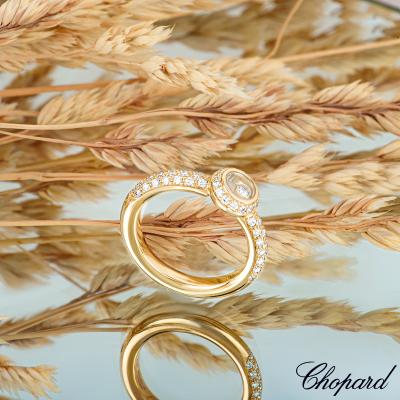 AP0310A[4].jpg