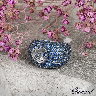 AP0316B[5].jpg