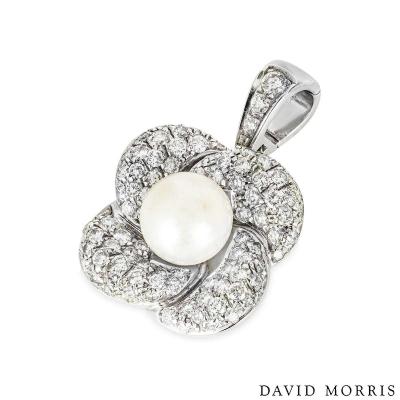 AP5542[1].jpg