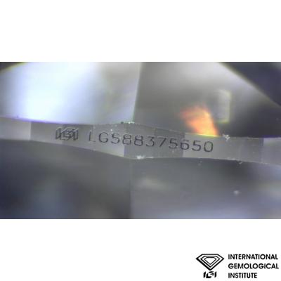 RW345[4].jpg